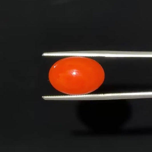 Red Natural Japanese Coral 6.12 Ct – Certified Gemstone