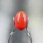 Natural Red Coral (Moonga) – Italy Origin – Certified & Untreated Gemstone for Mars Energy 4.01 CT