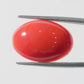 Red Coral Japanese – Natural Moonga for Strength 10.91 CT