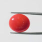 Red Coral Japanese – Natural Moonga for Strength 4.56 CT