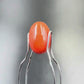 Natural Red Coral (Moonga) – Italy Origin – Certified & Untreated Gemstone for Mars Energy 3.95 CT