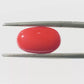 Natural Coral Gemstone – The Gem of Strength, Vitality & Protection 4.26 CT