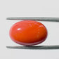 Natural Coral Gemstone – The Gem of Strength, Vitality & Protection 11.45 CT