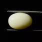 Natural White Coral Gemstone – The Gem of Strength, Vitality & Protection 11.83 CT