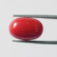 Red Coral Japanese – Natural Moonga for Strength 7.04 CT
