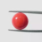 Red Coral Japanese – Natural Moonga for Strength 4.93 CT