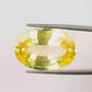 Natural Yellow Sapphire (Pukhraj) – Prosperity, Wisdom & Jupiter’s Blessing 19.47 CT