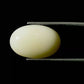 Natural White Coral Gemstone – The Gem of Strength, Vitality & Protection 7.49 CT