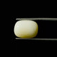 Natural White Coral Gemstone – The Gem of Strength, Vitality & Protection 5.71 CT