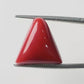 Natural Triangle Coral – The Gem of Strength, Vitality & Protection 14.22 CT