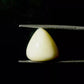 Natural White Coral Gemstone – The Gem of Strength, Vitality & Protection 11.18 CT