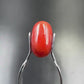 Natural Red Coral (Moonga) – Italy Origin – Certified & Untreated Gemstone for Mars Energy 3.97 CT