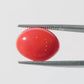 Red Coral Japanese – Natural Moonga for Strength 6.14 CT