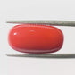 Natural Coral Gemstone – The Gem of Strength, Vitality & Protection 9.55 CT