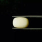 Natural White Coral Gemstone – The Gem of Strength, Vitality & Protection 5.28 CT