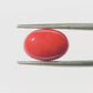 Natural Coral Gemstone – The Gem of Strength, Vitality & Protection 4.24 CT