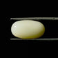 Natural White Coral Gemstone – The Gem of Strength, Vitality & Protection 7.85 CT