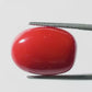 Red Coral Japanese – Natural Moonga for Strength 15.08 CT
