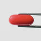 Natural Red Coral (Moonga) – Italy Origin – Certified & Untreated Gemstone for Mars Energy 7.83 CT