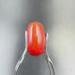 Natural Red Coral (Moonga) – Italy Origin – Certified & Untreated Gemstone for Mars Energy 4.02 CT