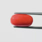 Natural Red Coral (Moonga) – Italy Origin – Certified & Untreated Gemstone for Mars Energy 6.40 CT