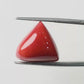 Natural Triangle Coral – The Gem of Strength, Vitality & Protection 11.45 CT