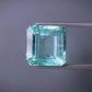 Natural Emerald (Panna) 10.73 Ct – Certified Premium Gemstone