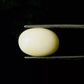 Natural White Coral Gemstone – The Gem of Strength, Vitality & Protection 8.40 CT