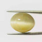 Indian Cat’s Eye Gemstone (Lehsunia) – Protection, Intuition & Ketu’s Power 7.45 CT