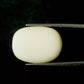 Natural White Coral Gemstone – The Gem of Strength, Vitality & Protection 13.34 CT