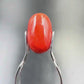 Natural Red Coral (Moonga) – Italy Origin – Certified & Untreated Gemstone for Mars Energy 4.20 CT