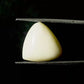 Natural White Coral Gemstone – The Gem of Strength, Vitality & Protection 13.32 CT