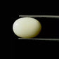 Natural White Coral Gemstone – The Gem of Strength, Vitality & Protection 4.88 CT