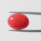 Red Coral Japanese – Natural Moonga for Strength 6.18 CT