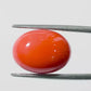 Natural Coral Gemstone – The Gem of Strength, Vitality & Protection 12.90 CT