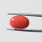 Red Coral Japanese – Natural Moonga for Strength 5.69 CT