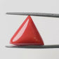 Natural Triangle Coral – The Gem of Strength, Vitality & Protection 8.91 CT