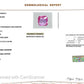 Pink Sapphire Gemstones – Elegance in Every Hue 1.66 CT
